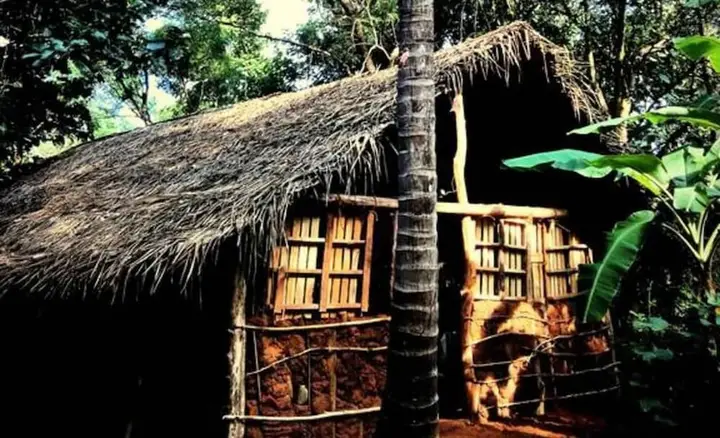 Yoho Mango Tree Home Stay & Hostel — фото 4