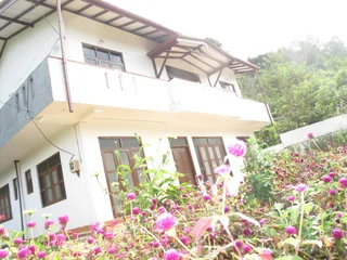 Элла: Freedom Lodge Ella