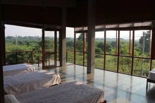 Киринда: Tree Tops Yala
