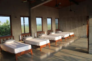 Киринда: Tree Tops Yala