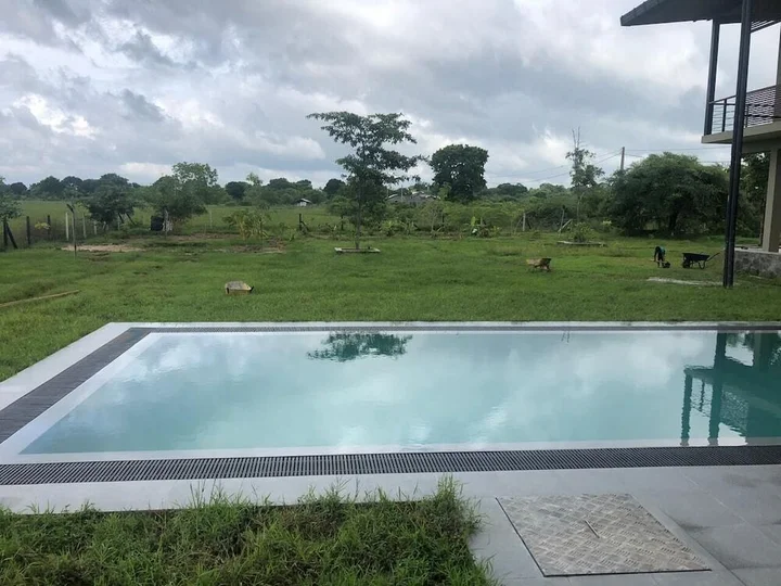 Киринда: Tree Tops Yala