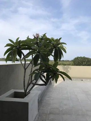 Киринда: Tree Tops Yala