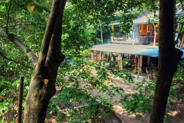 Хабарана: Book Jungle