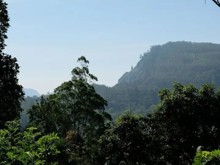 Элла: NiceView Guesthouse