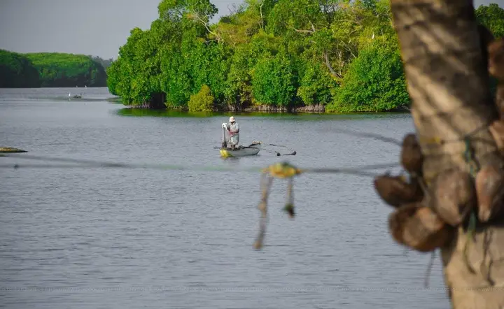 Отель Riva Del Sole — фото 2