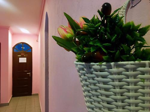 Коломбо: Blue Sky Holiday Hotel