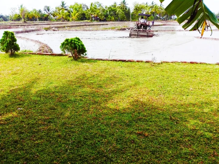 Гиритале: Rivonway Hotel Polonnaruwa