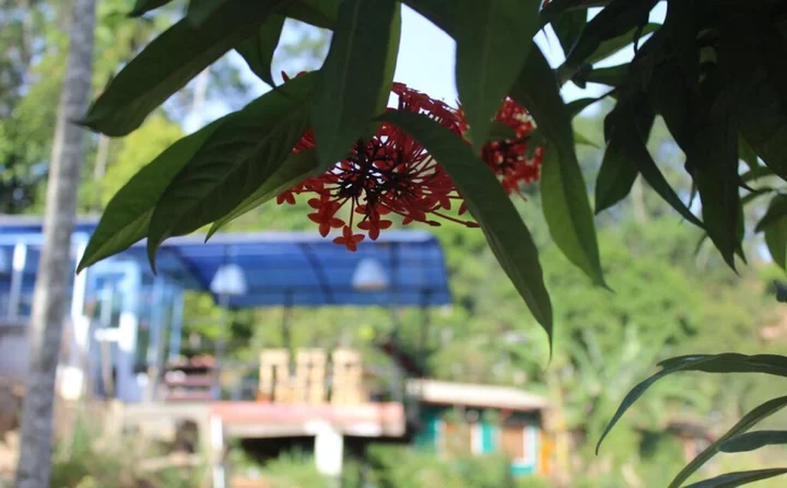 Элла: Hi Lanka Backpackers - Adults Only