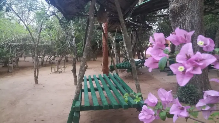 Палатупана: Yala Wild House