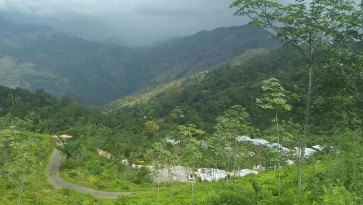 Элла: Ella Water Fall Resort