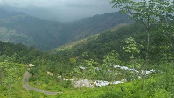 Элла: Ella Water Fall Resort