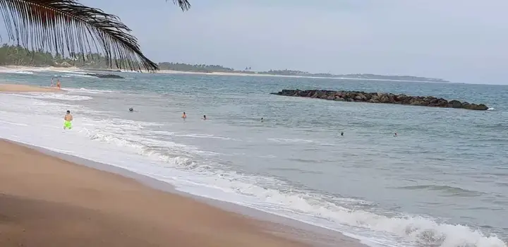 Blue Whale Beach Hotel — фото 3
