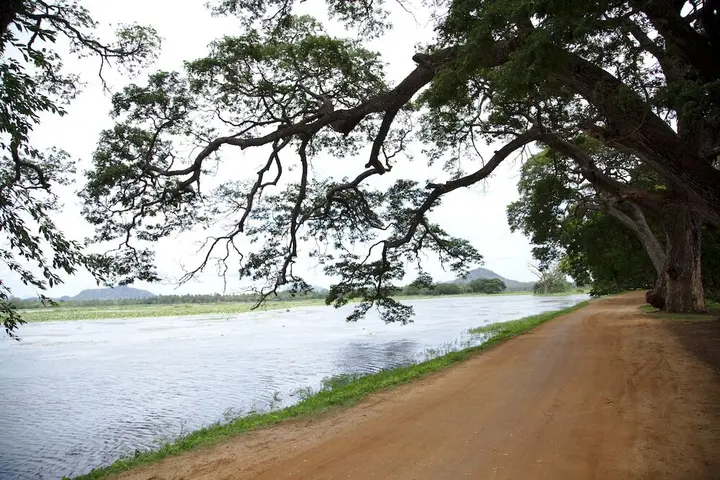 Киринда: Naturehawks Safari Villa Yala
