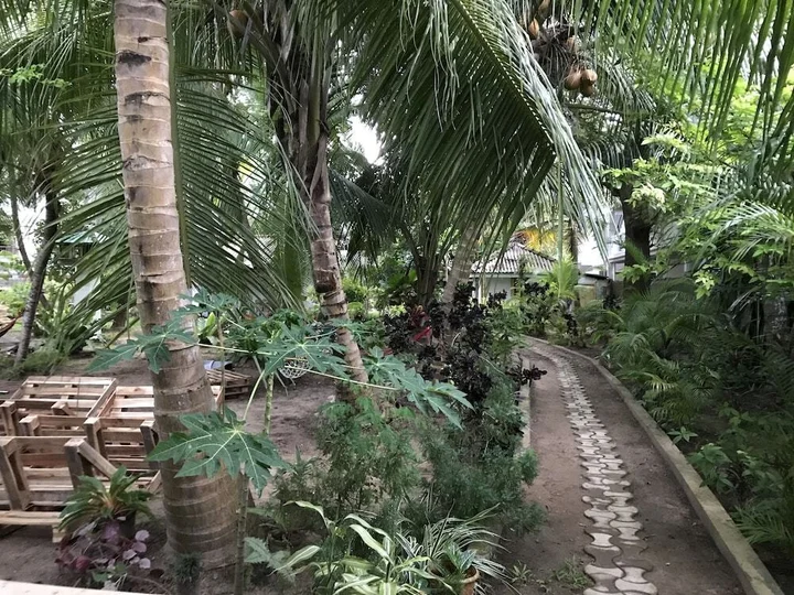 Мирисса: Lala land guest house and camping site