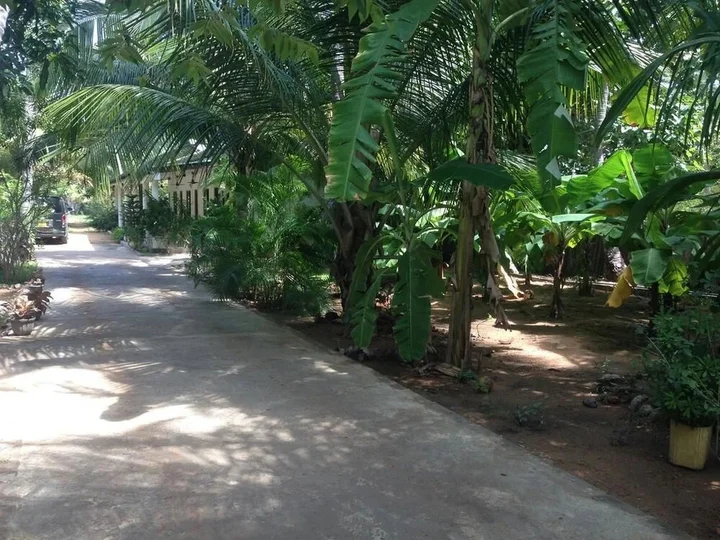 Калкудах: Vasuki Guest House