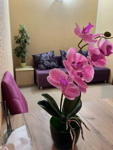 Петропавловск-Камчатский: Мини-отель Абажуръ