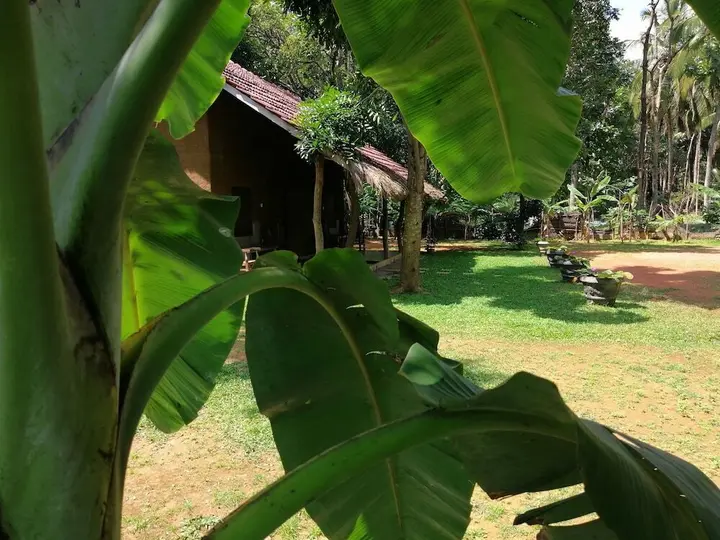 Хабарана: Ama Villa Homestay