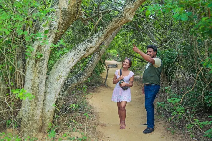 Киринда: Leopard Nest - Glamping in Yala
