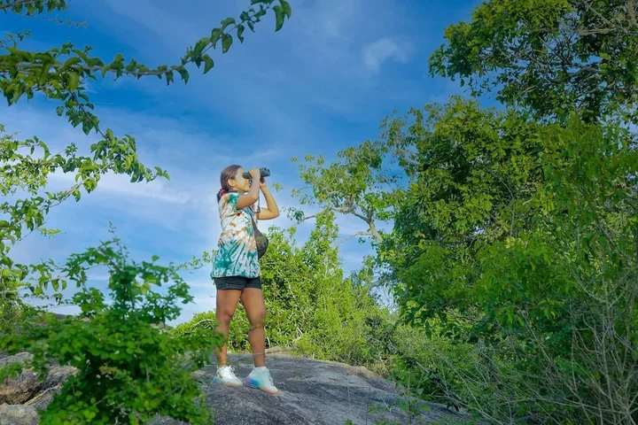 Киринда: Leopard Nest - Glamping in Yala