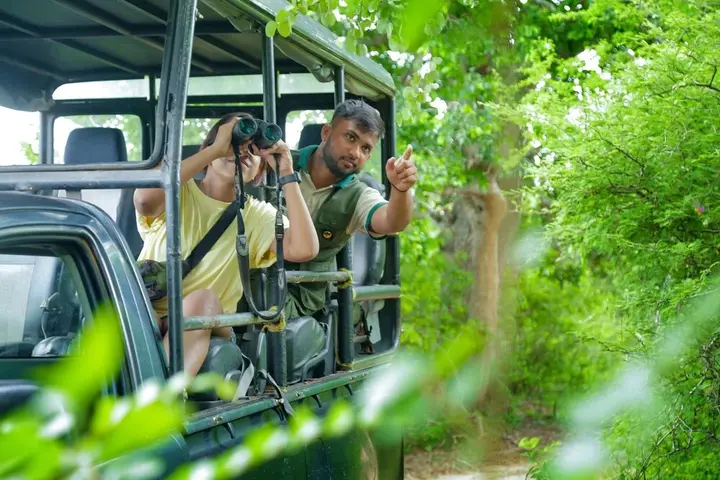 Киринда: Leopard Nest - Glamping in Yala