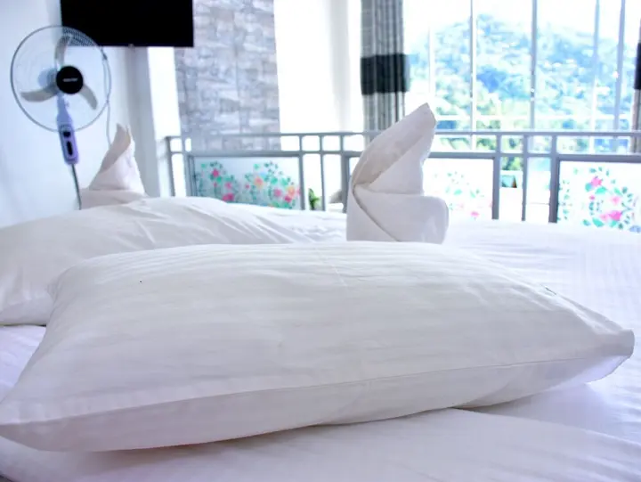 Элла: Ornateview Hotel