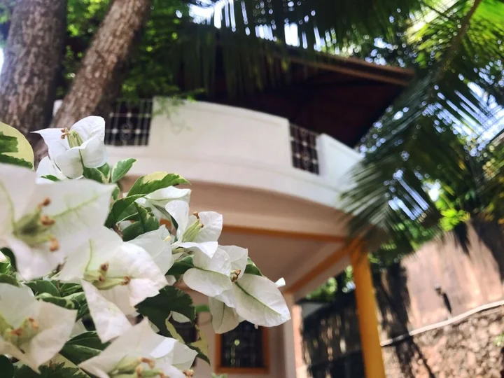 Шри-Джаяварденепура-Котте: Backpacker Villas