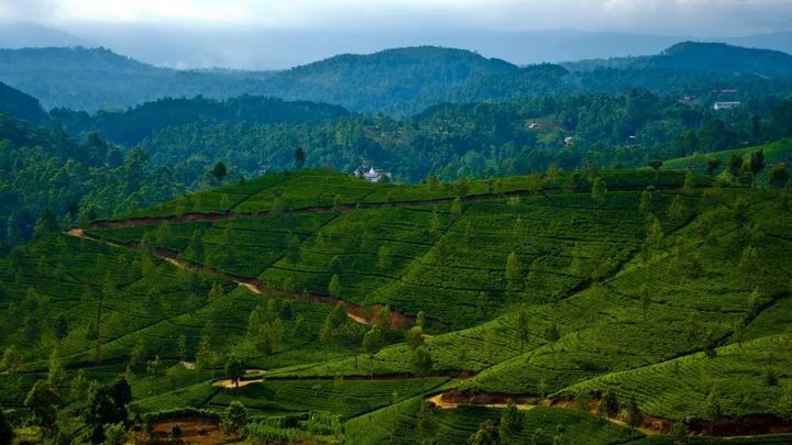 Хапутале: Lakshan View Resort