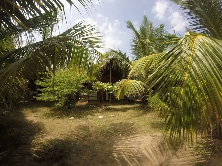 Аругам-Бэй: Safasurf Camp - Hostel