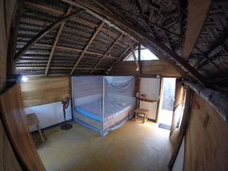 Аругам-Бэй: Safasurf Camp - Hostel