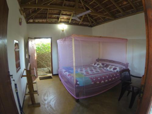 Аругам-Бэй: Safasurf Camp - Hostel