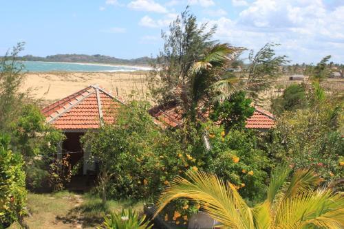 Аругам-Бэй: Safasurf Camp - Hostel