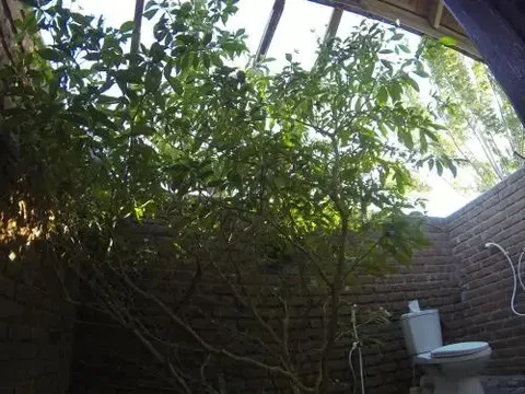 Аругам-Бэй: Safasurf Camp - Hostel