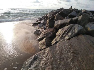 Коломбо: Hotel Nelly Marine