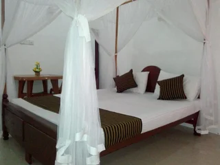 Мирисса: Randi Guest House - Mirissa Beach