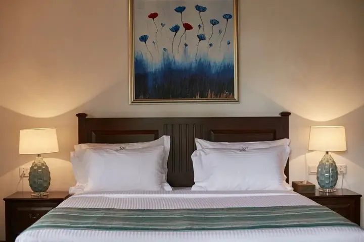 Manor House Boutique Villa — фото 4