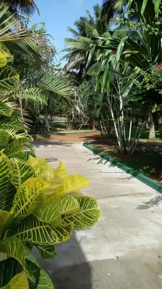 Sri Lanka Beach House Hotel and SPA — фото 4