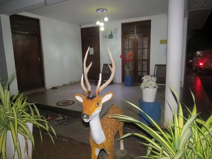 Thisara Guest Hotel Rooms — фото 4