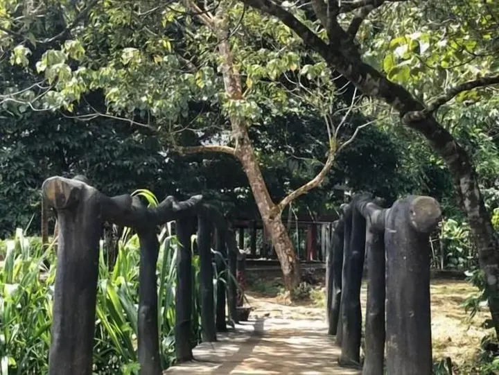 Поддана: 360 Rainforest