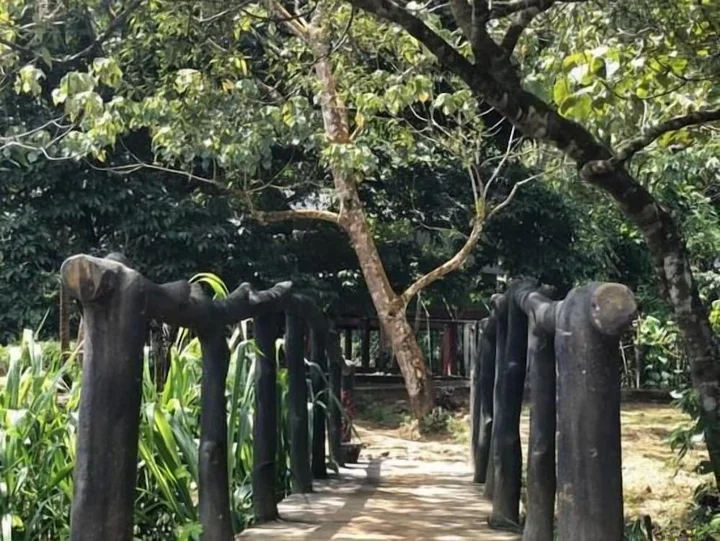 Поддана: 360 Rainforest