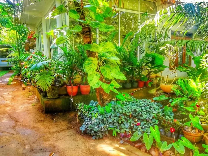 Хабарана: Green Garden Resort