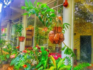Хабарана: Green Garden Resort