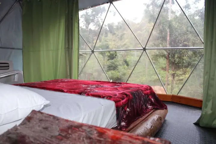Ella Eco Domes — фото 1
