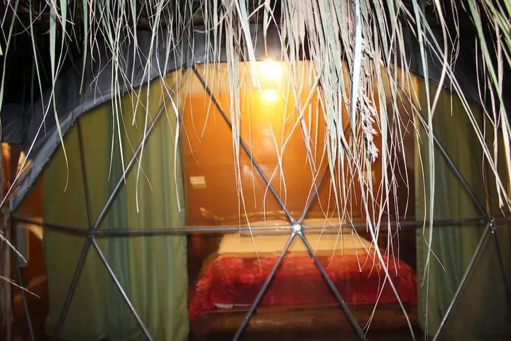Элла: Ella Eco Domes
