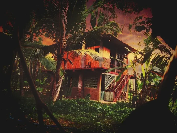 Киринда: Wooden Paracosm & Resort