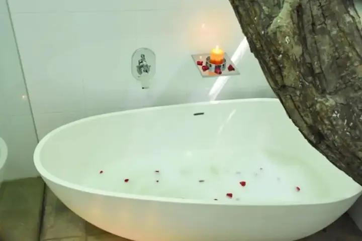 Шри-Джаяварденепура-Котте: Colombo Tree house