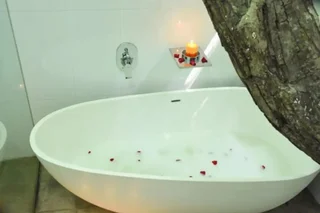 Шри-Джаяварденепура-Котте: Colombo Tree house