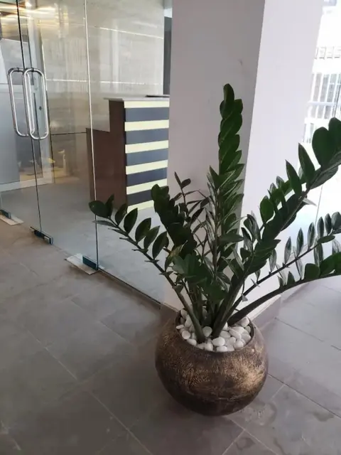 Коломбо: Amazinn Suites