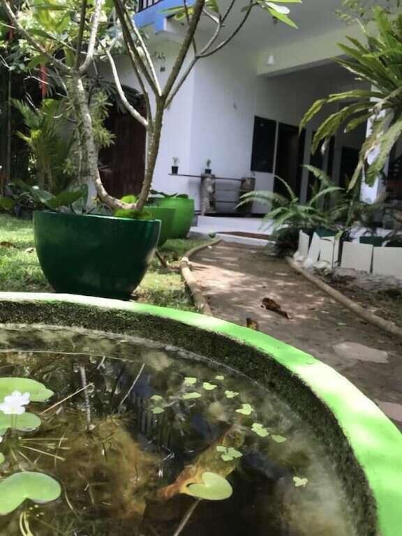 Унаватуна: Unawatuna Hostel Honey Packers