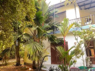 Унаватуна: Unawatuna Hostel Honey Packers