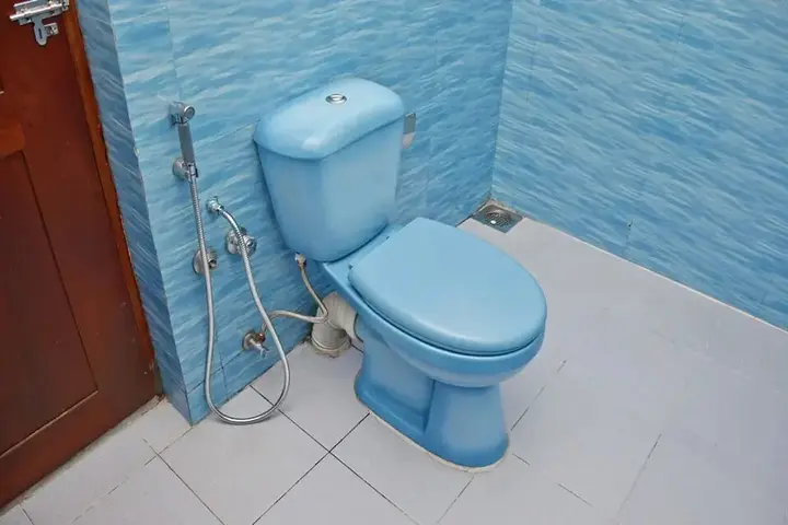 Нувара-Элия: Oyo 537 Royal Bungalow